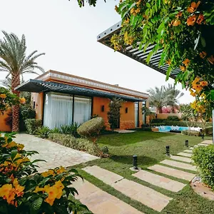 Aseel Saudi Arabia